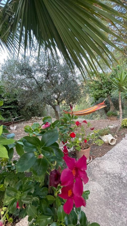 Vila Valateddi Cammarata Exteriér fotografie