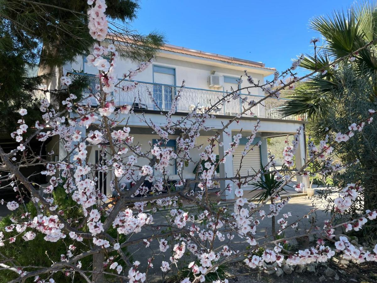 Vila Valateddi Cammarata Exteriér fotografie