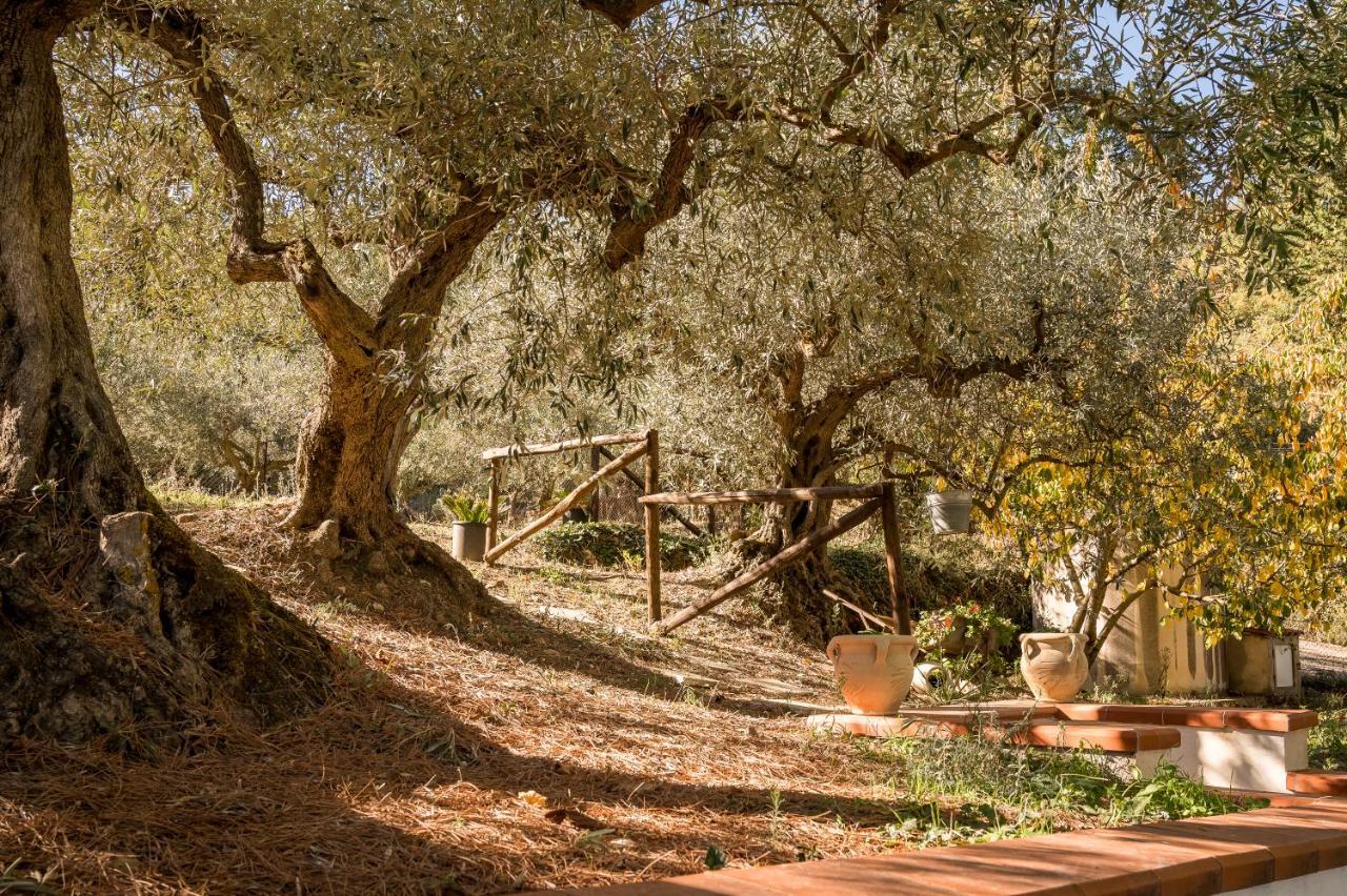 Vila Valateddi Cammarata Exteriér fotografie