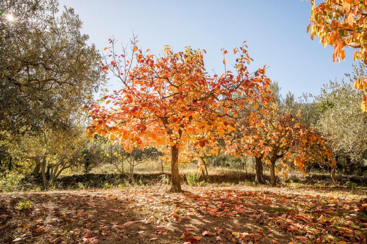 Vila Valateddi Cammarata Exteriér fotografie
